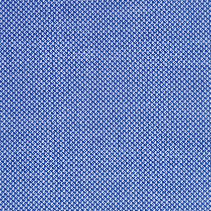 Royal Oxford royal blue in cotton – Canclini