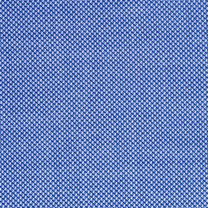 Royal Oxford royal blue in cotton – Canclini