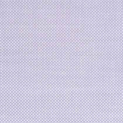 Royal Oxford lavanda in cotone – Canclini
