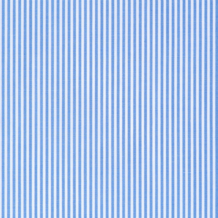 Cotone a micro-righe azzurre – Canclini