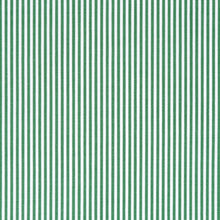 Green pinstripe cotton – Canclini