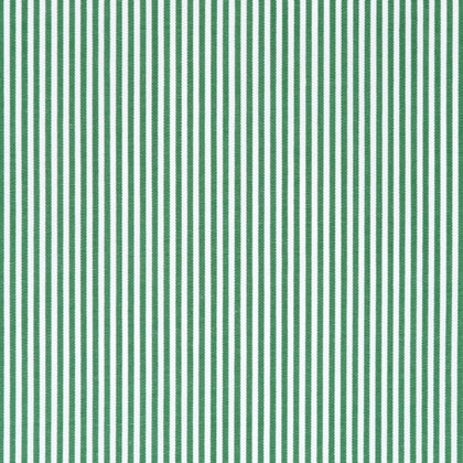 Green pinstripe cotton – Canclini