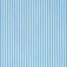 Light blue pinstripe cotton - Canclini