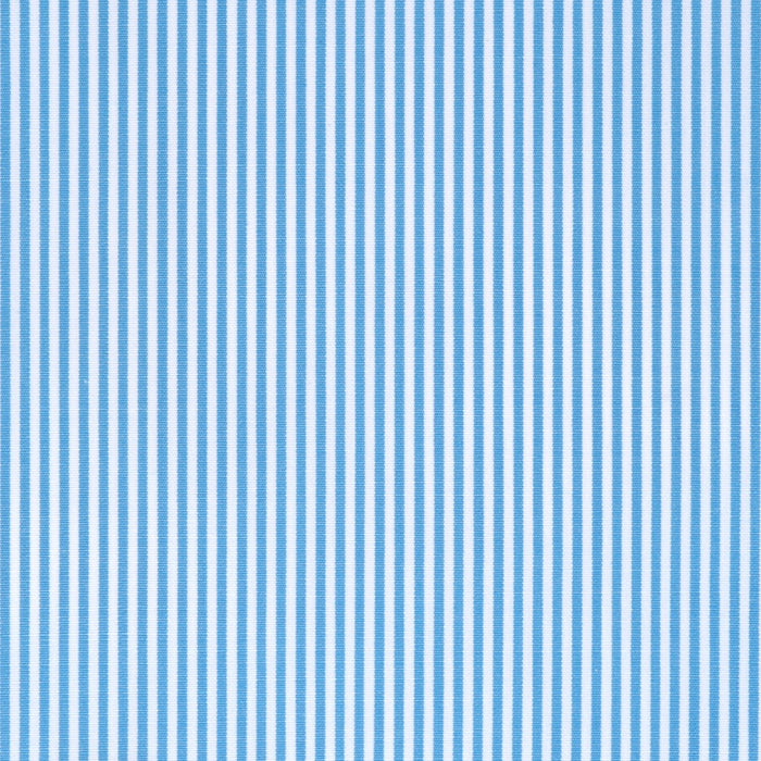 Light blue pinstripe cotton - Canclini